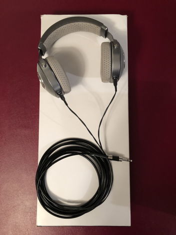 Focal Clear Headphones w/15' Moon Audio Black Dragon Pr...