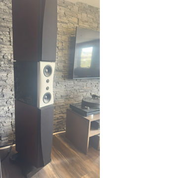Dynaudio Evidence Temptation