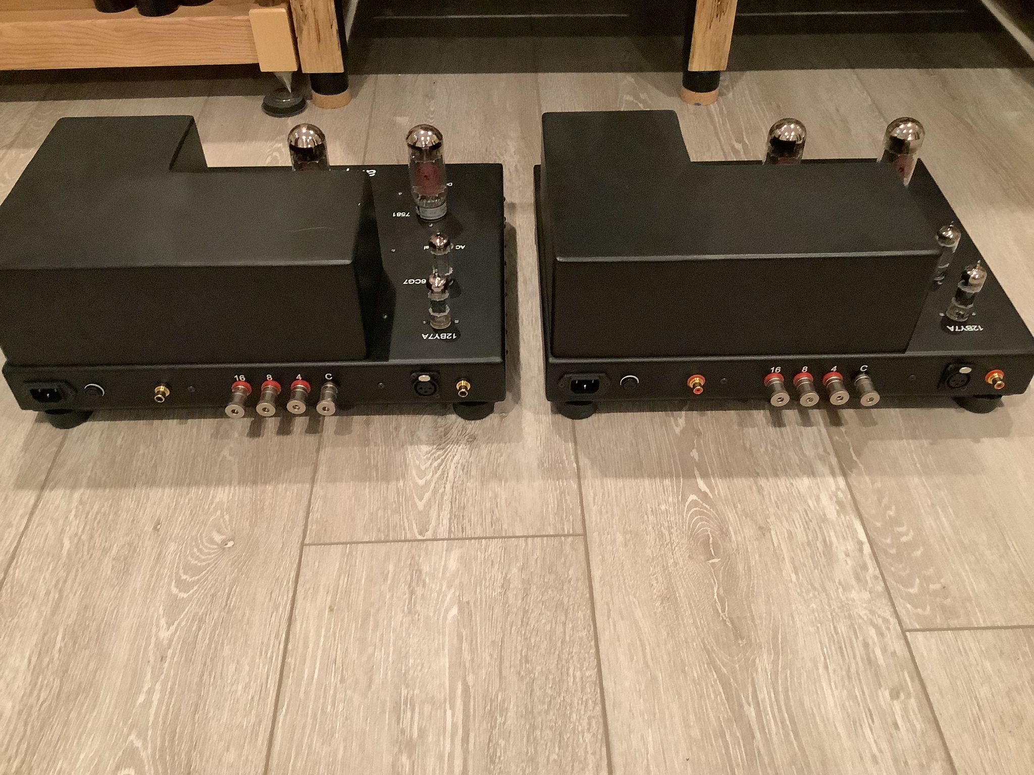 ampsandsound Zion monoblocks 7