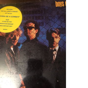 Boys Dont Cry Lp Self-Titled On Profile - Sealed