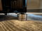 ALSYVOX Audio Design Botticelli X full range ribbon-pla... 11