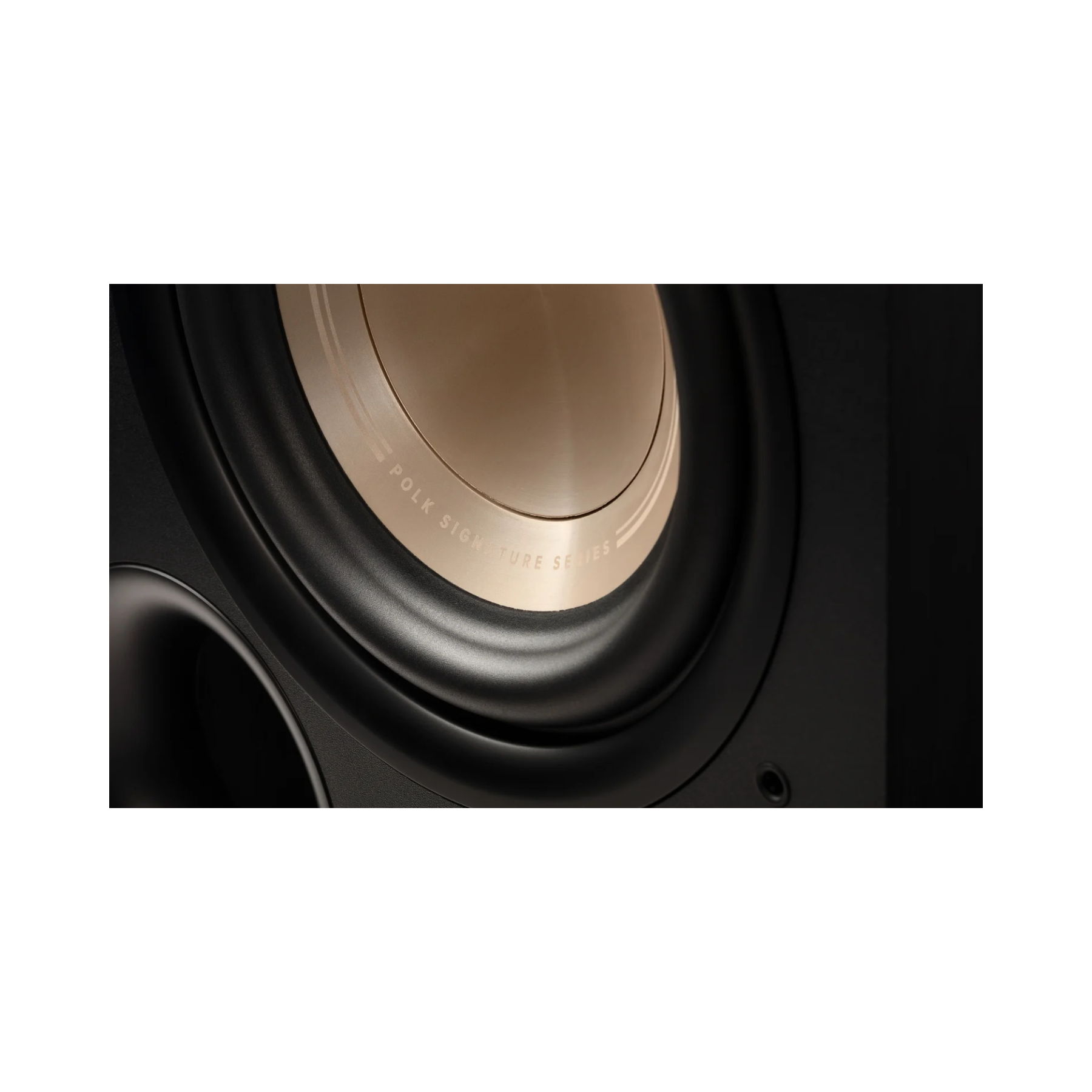 Polk Audio Signature Elite ES8 - 8" 100W Subwoofer w/ D... 5