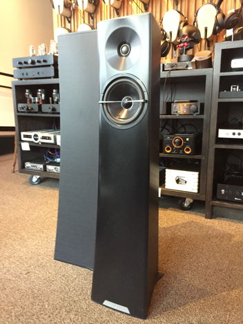 YG Acoustics Carmel 2