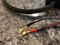 Single/Center Channel: 8' MIT Shotgun S1s Bi-Wire Cable... 3