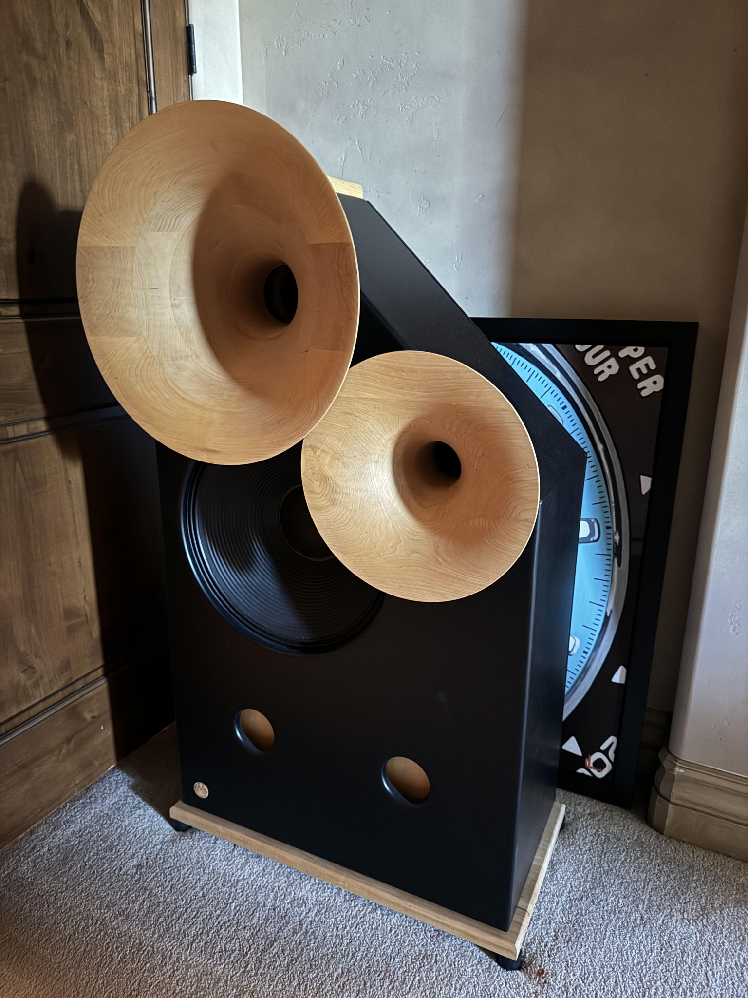 Viking Acoustics L'Instrument Grande-Voix 4