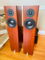 Totem Acoustic Forest in Cherry - Outstanding Sound - M... 3
