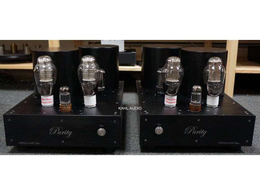 Purity Audio Design PSE300B Ultra monoblocks. 18W of pure musical bliss! $26,000 MSRP.