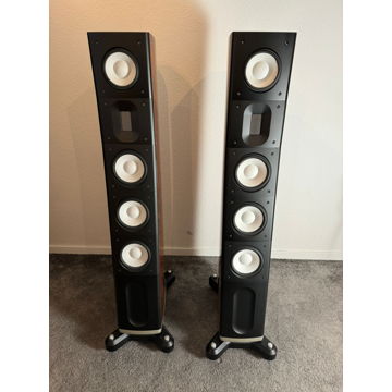Raidho Acoustics C3.1 speakers in wood