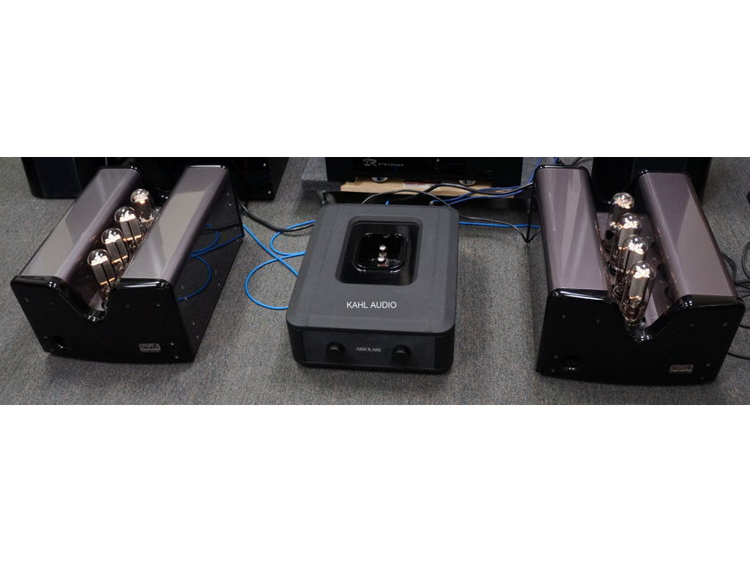 Viva Aurora 845 tube monoblocks. Flagship model, lots of positive reviews. $50,000 MSRP