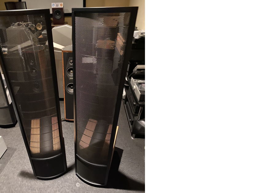 Martin Logan Summit X zebra wood For Sale | Audiogon