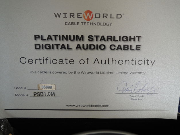 Wireworld Starlight Platinum 6 USB 1 meter