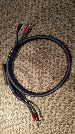 AudioQuest Wildwood Speaker cable 5ft PAIR  PRICE REDUC...