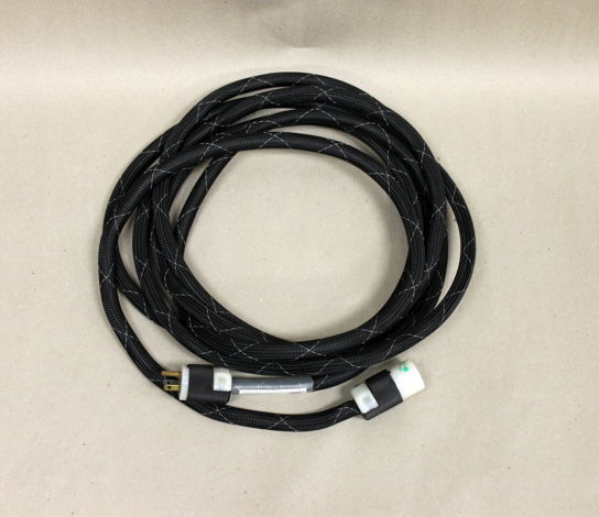 Chang Lightspeed Power 20 Extension Power Cable, 19.75'