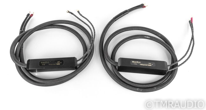 Transparent Audio MusicWave Super Speaker Cable; 10ft P...