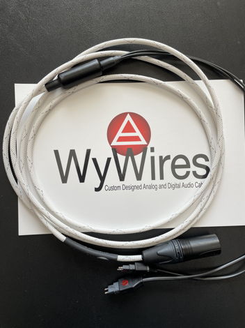 WyWires, LLC Platinum Headphone Interface