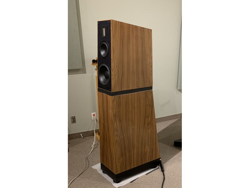 Verity Audio Lohengrin IIS - Brand New, Rare Oiled Walnut Finish!