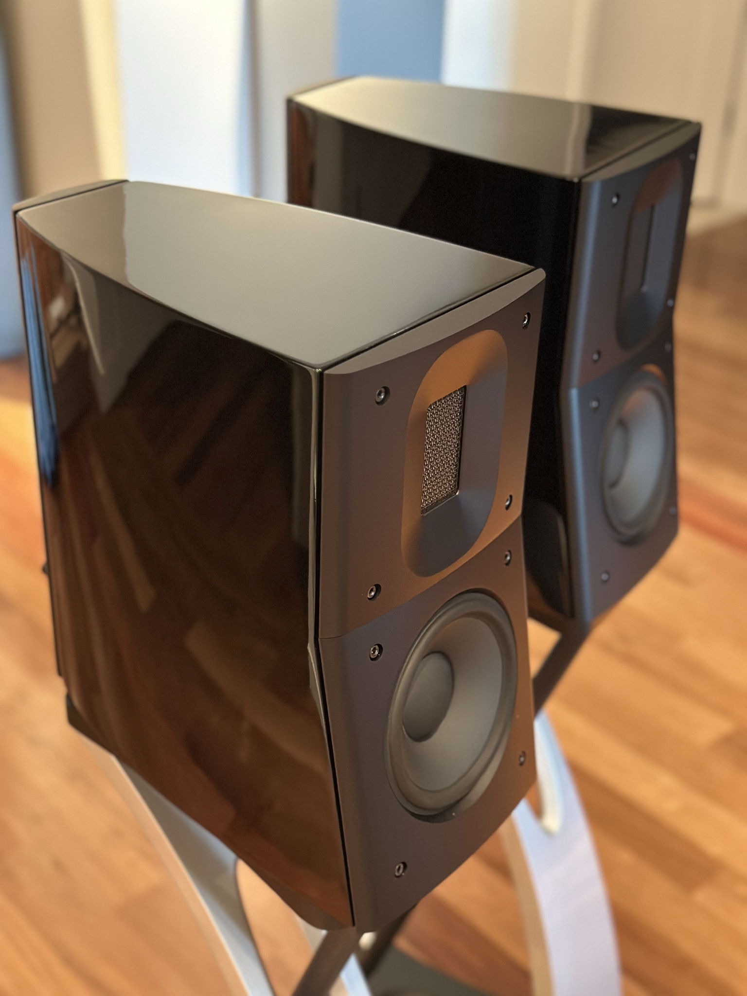 Raidho D-1 Loudspeakers with Original Stands