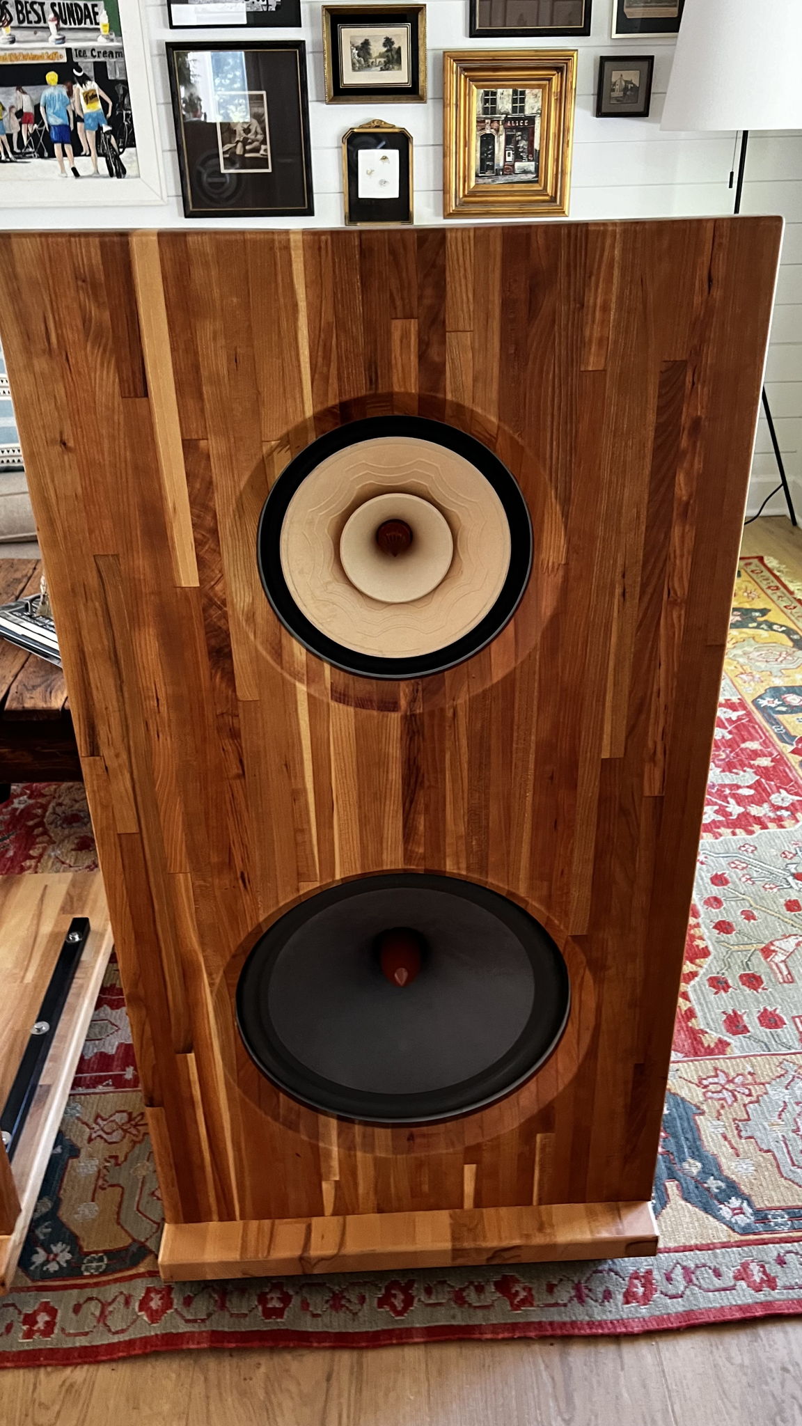 Liionidas Extreme Open Baffle Speakers DIY 2