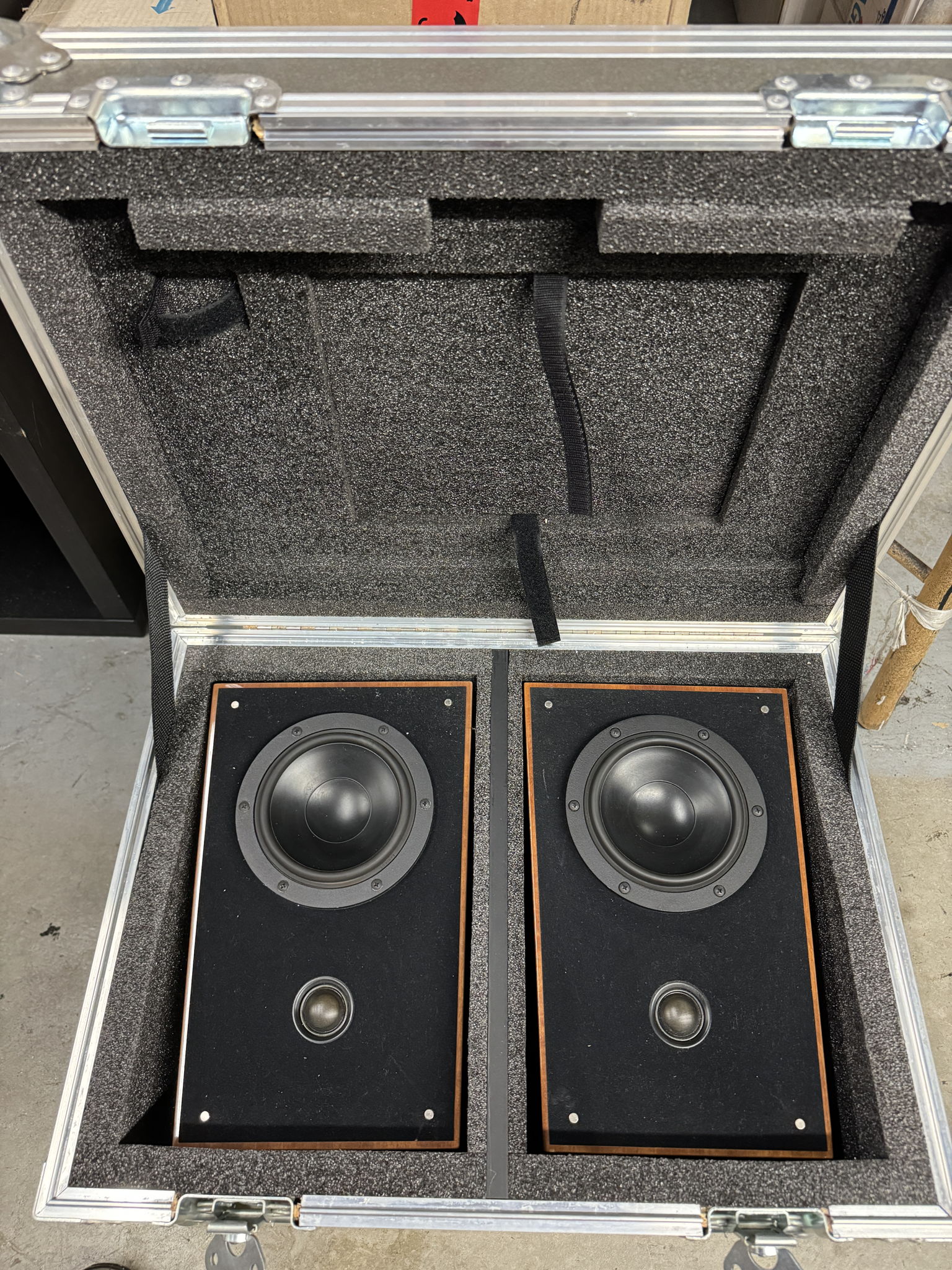 Verity Audio Parsifal Monitor 12