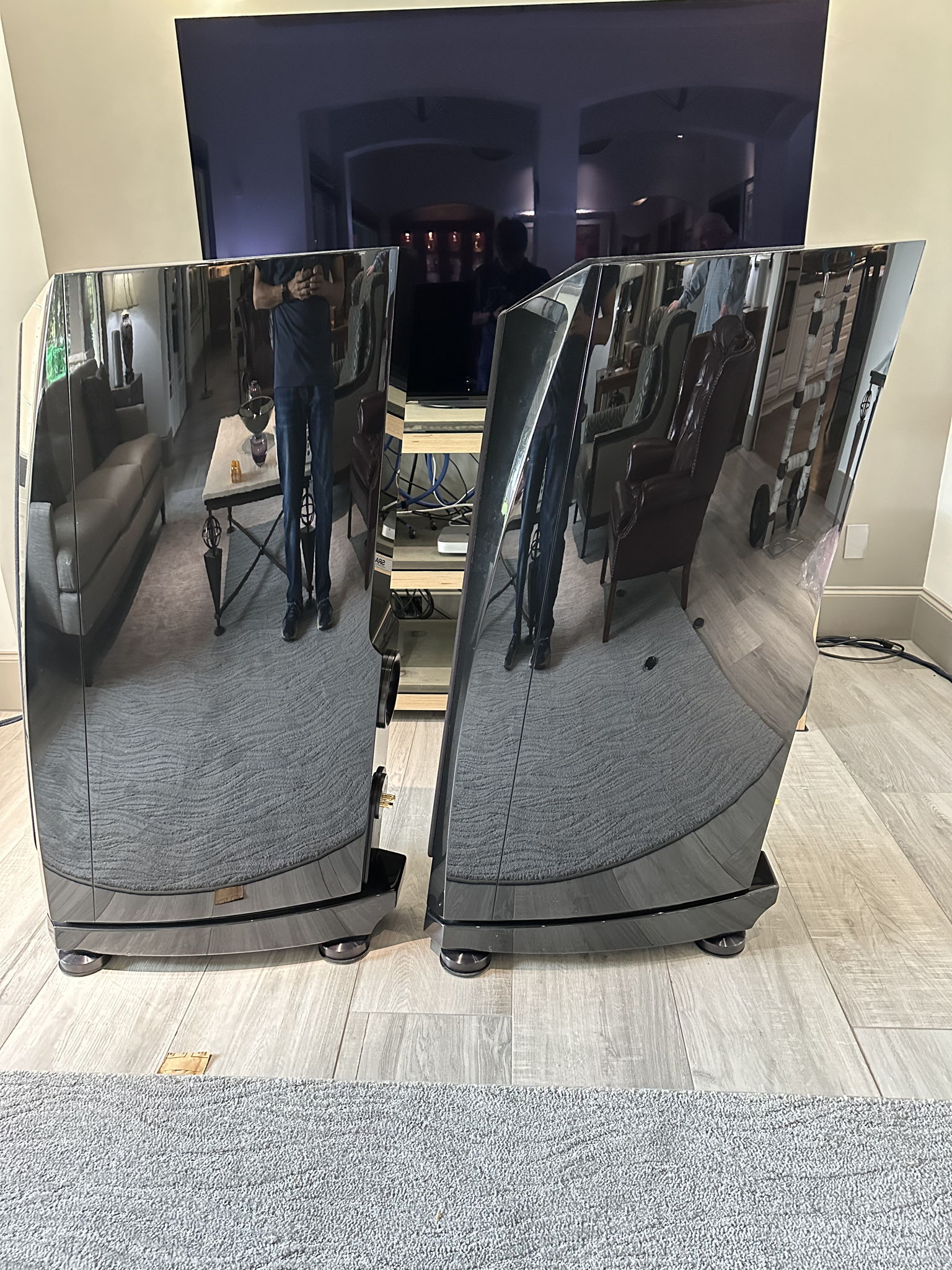 Rockport Technologies Cygnus Full Range Speakers Custom... 6