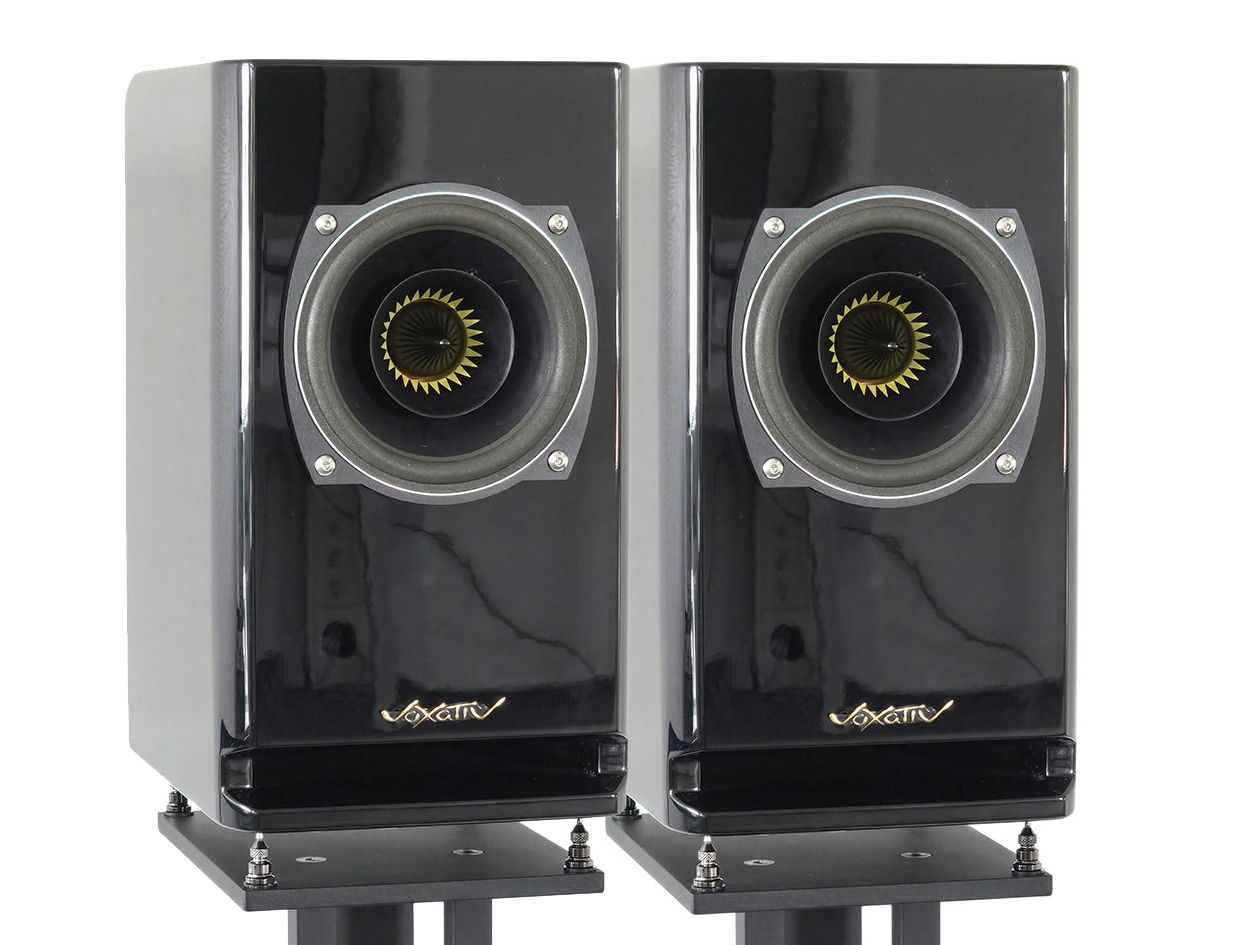 Voxativ Hagen 2 Monitor - single driver monitor speaker...