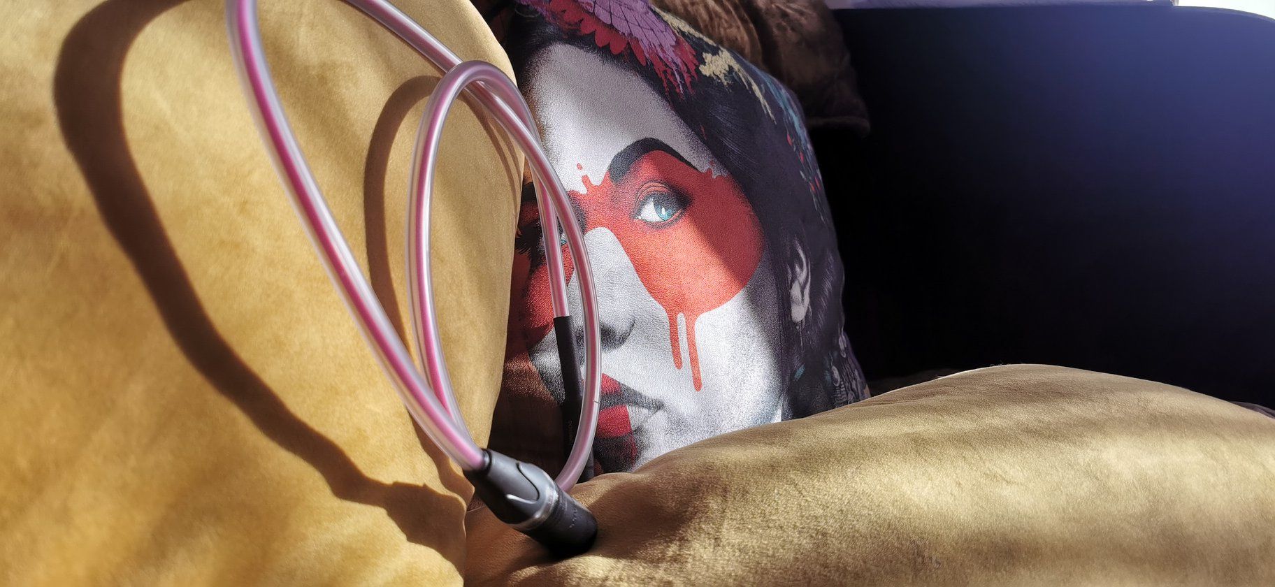 Townshend Audio Allegri+ preamplifier free worldwide sh... 13