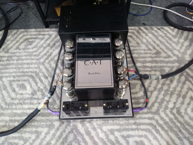 Convergent Audio JL5 Black Path Power Amp Selling my Demo