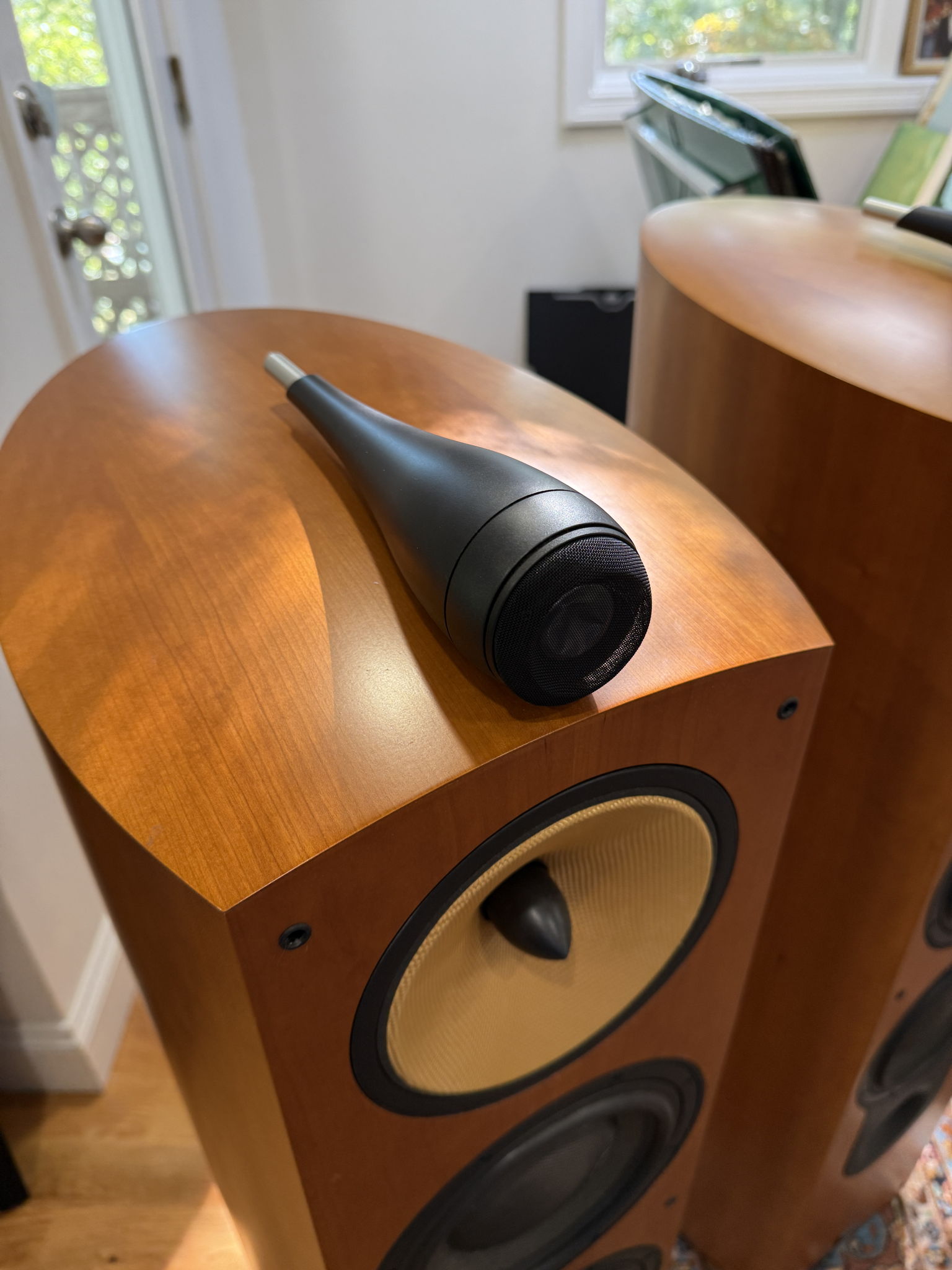 B&W (Bowers & Wilkins) 803S 10