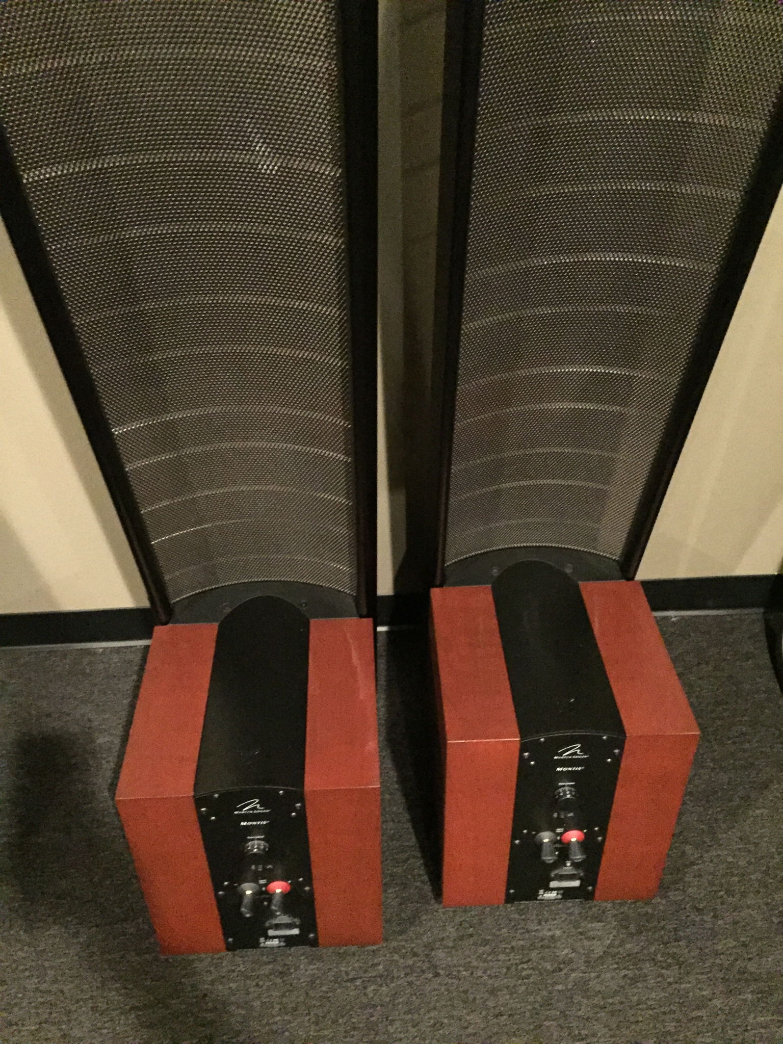 martin logan montis