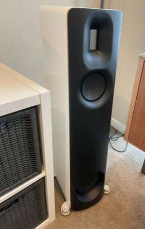 Borresen Acoustics Z2 Speaker - Nearly New