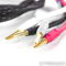 Morrow Audio SP-5 Bi-Wire Speaker Cables; 2.5m Pair; SP... 6