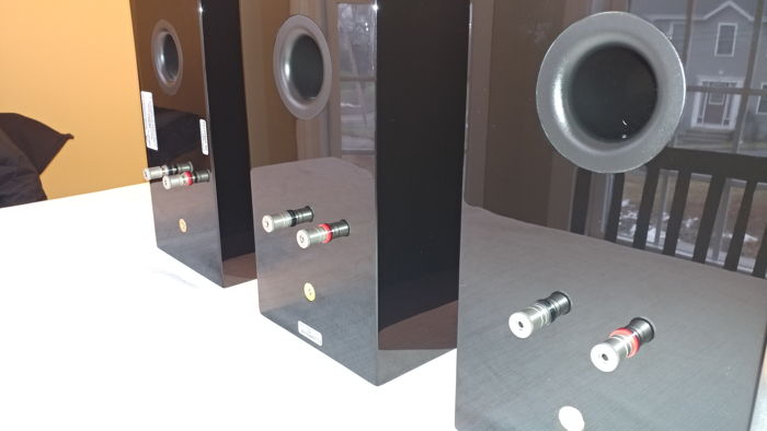 Acsend Acoustics Sierra-2 Single Speaker