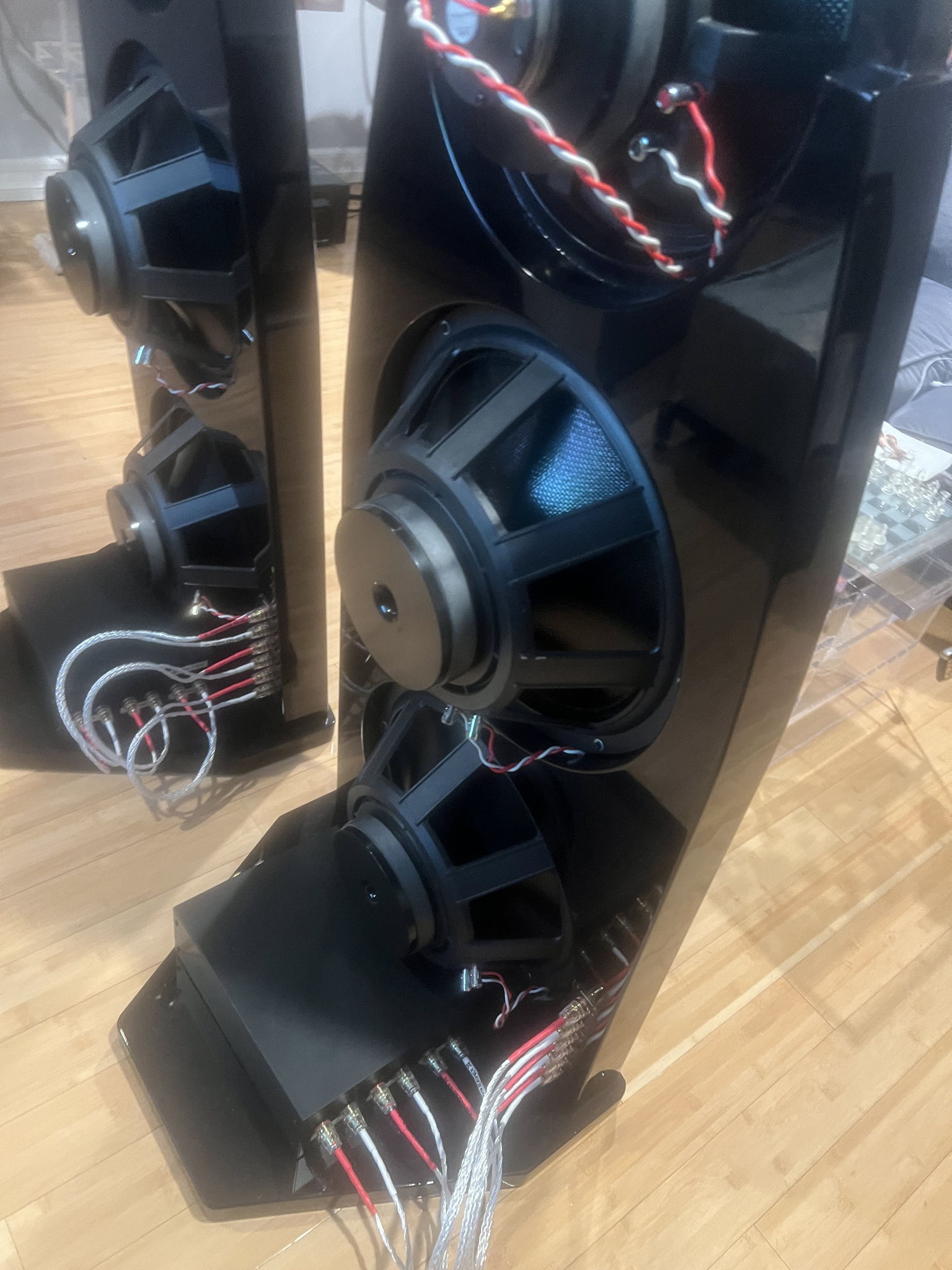 Emerald Physics EP2.8 Carbon Drivers and Neo Tweeter Si... 4