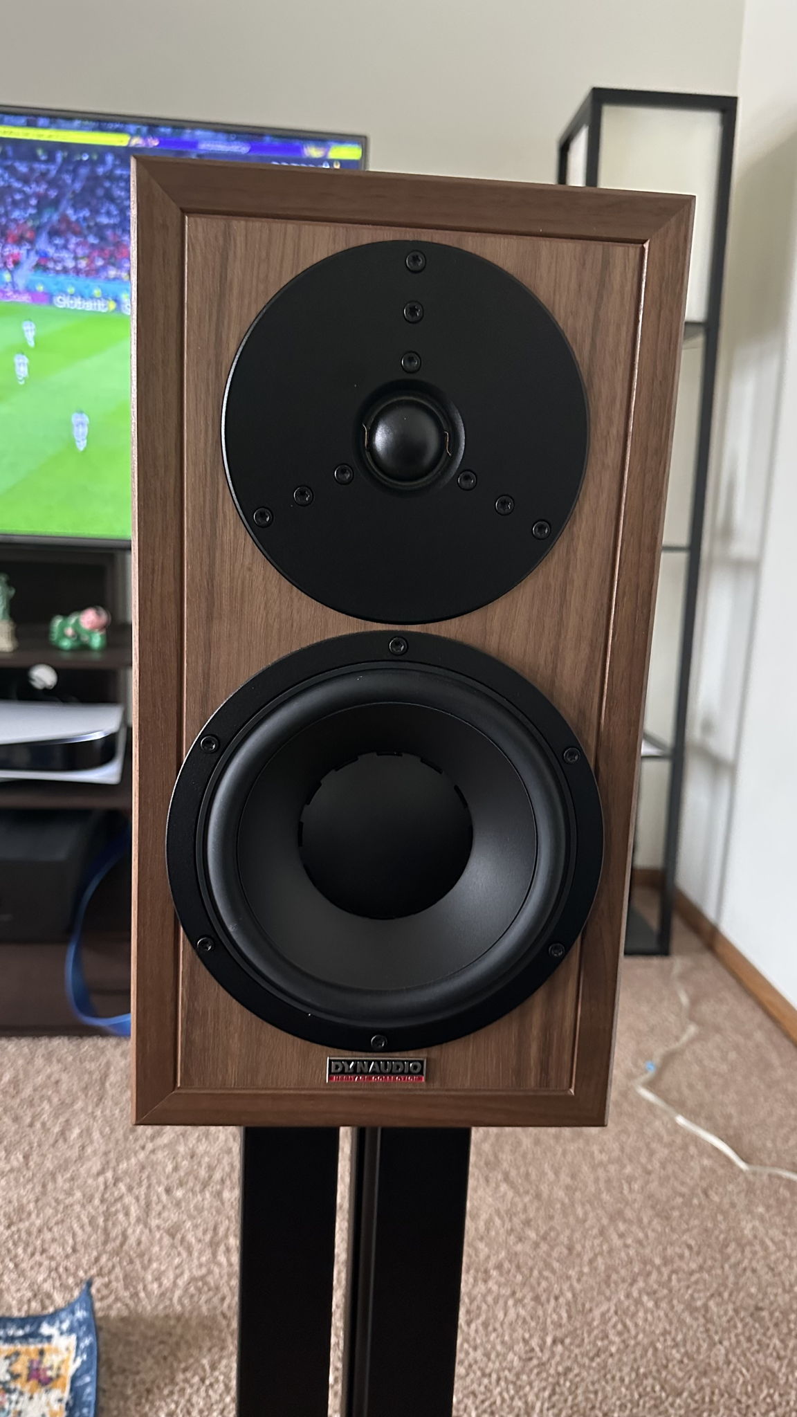 Dynaudio Heritage Special