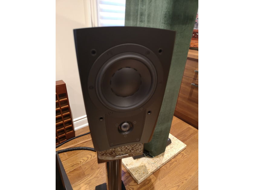 Dynaudio Confidence 1 C1 Platinum