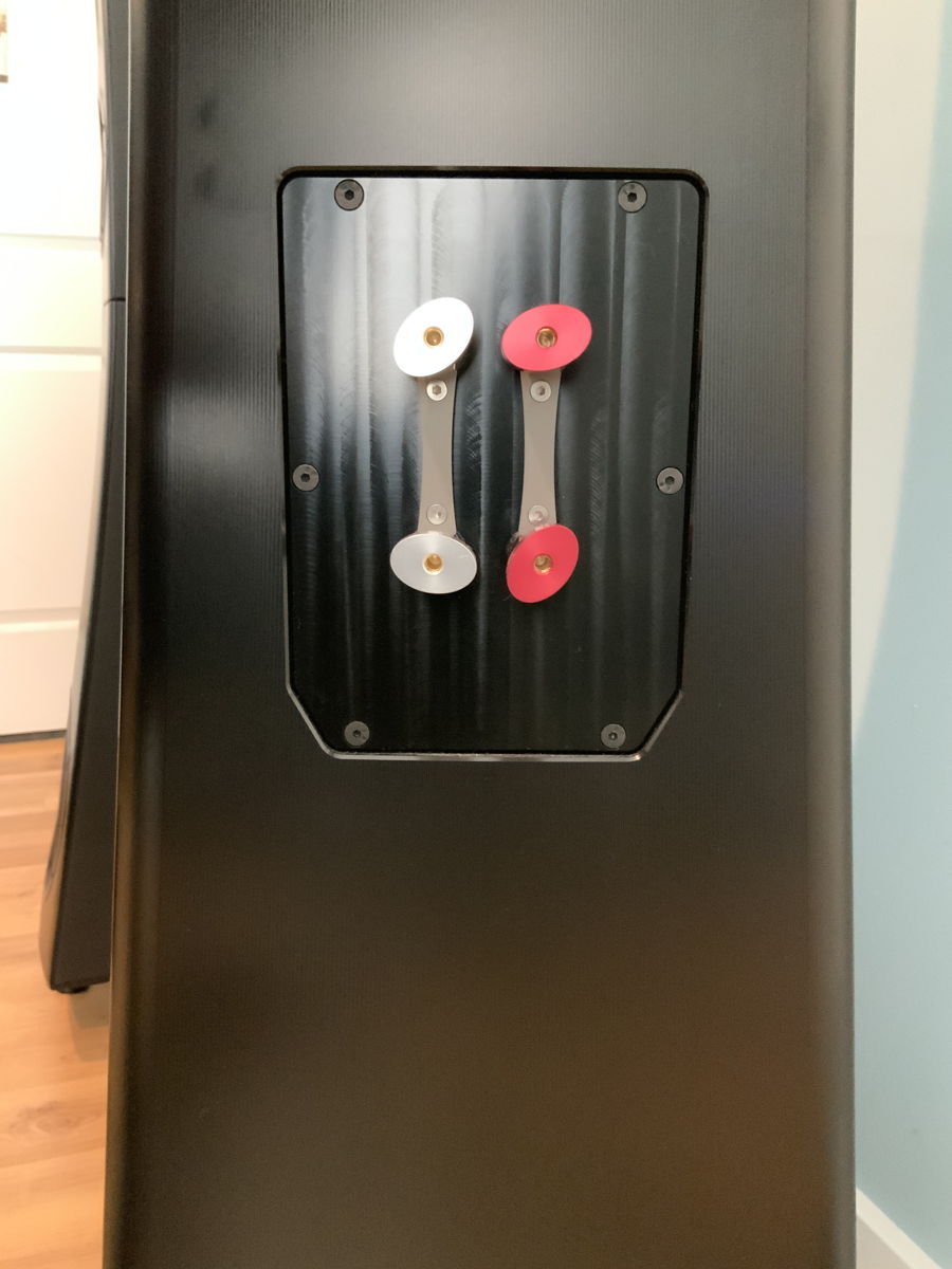 BEST OFFER - DEMO YG Acoustics Hailey 2.2 13