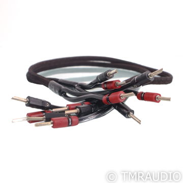 AudioQuest Rocket 33 Bi-Wire Speaker Cables; 4ft Pai (6...
