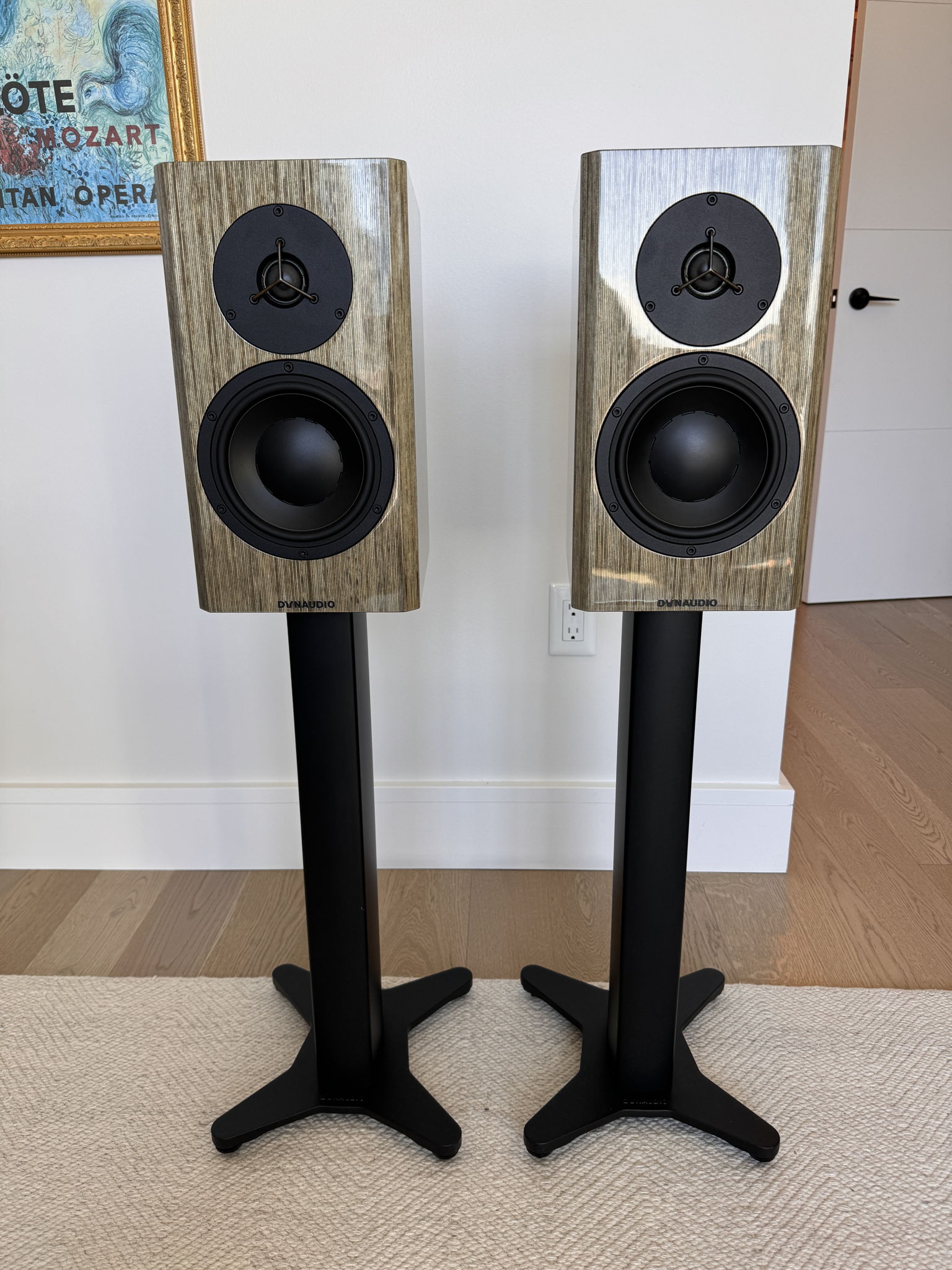 Dynaudio Special Anniversary 40 Grey Birch High Gloss