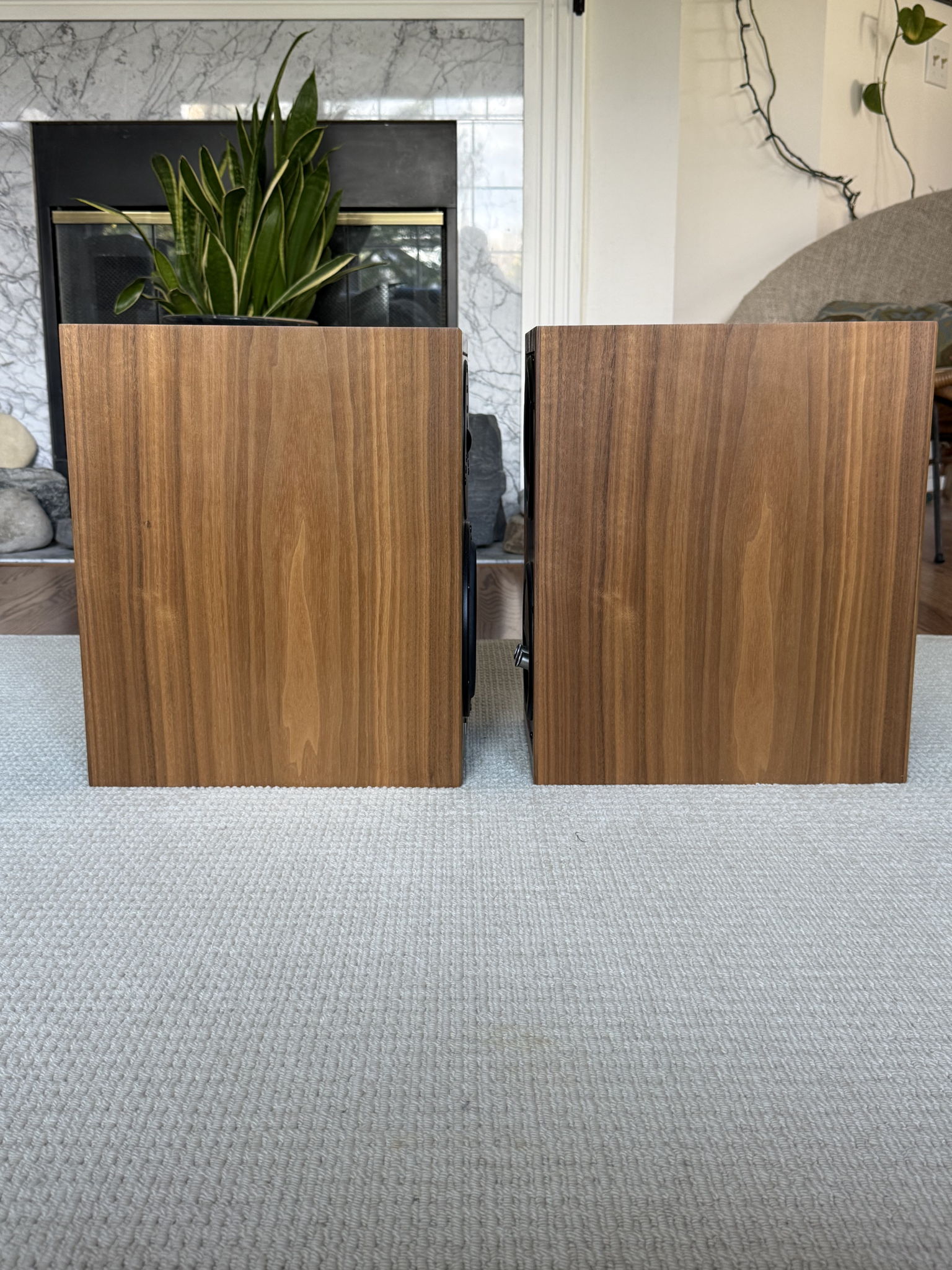 Dynaudio Heritage Special 5