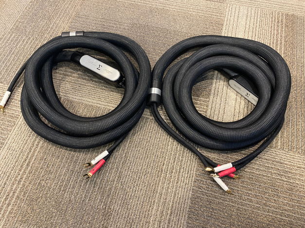 Shunyata Research, Sigma Reference Speaker Cable (Gold ...