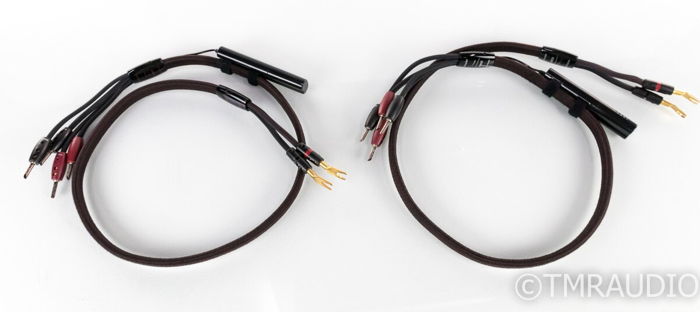 AudioQuest Comet Bi-Wire Speaker Cables; 4ft Pair; 72v ...