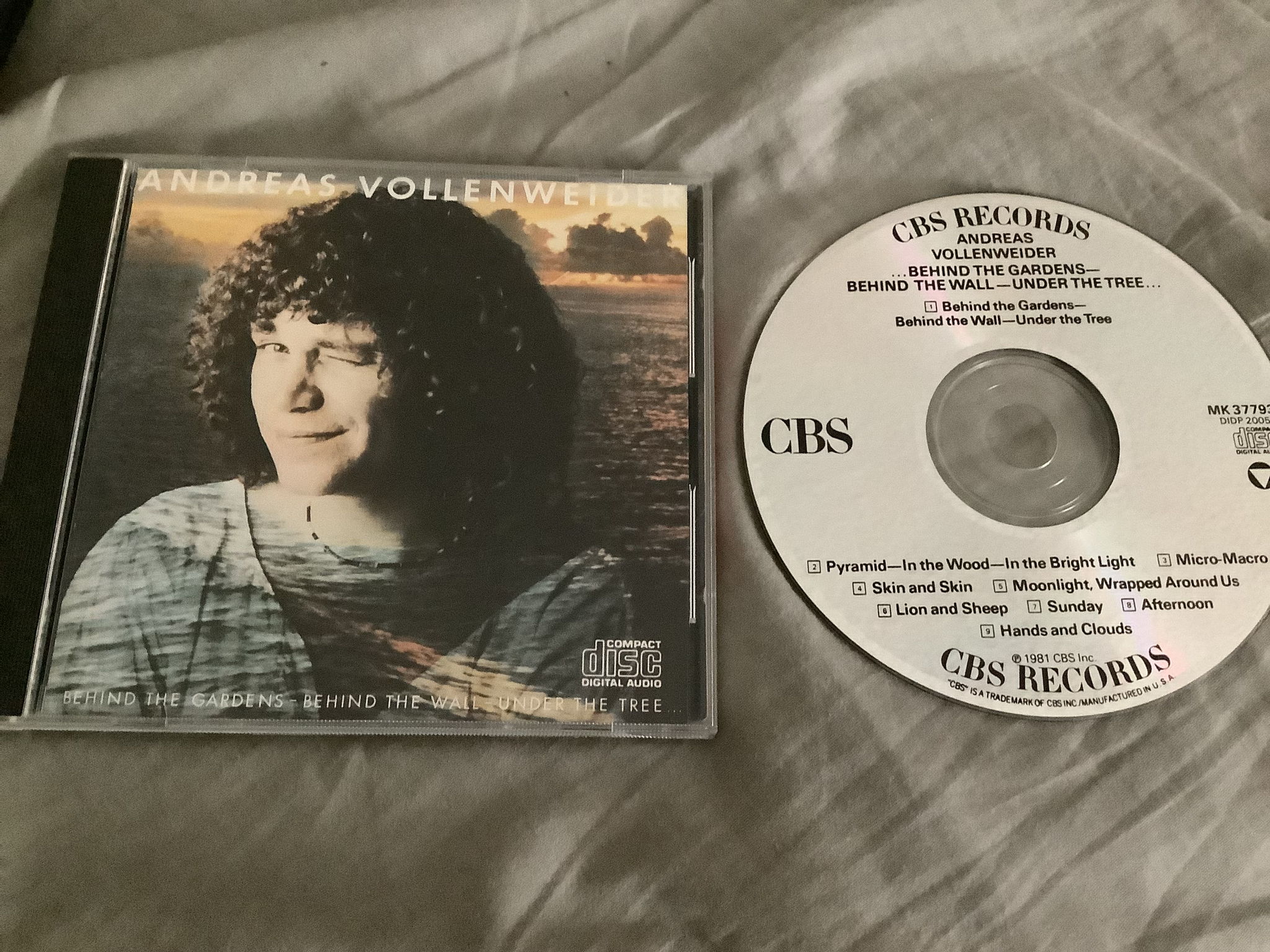 Andreas Vollenweider  Behind The Gardens