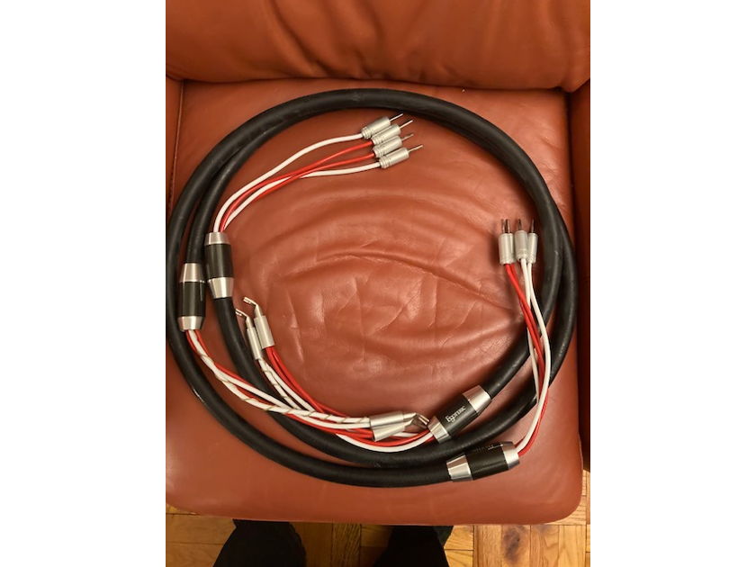 Esoteric Acrolink  7N-S10000 MkII Mexcel 2 Meter Biwire Speaker Cable Pair
