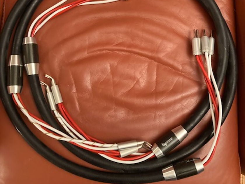 Esoteric Acrolink  7N-S10000 MkII Mexcel Biwire Speaker Cable