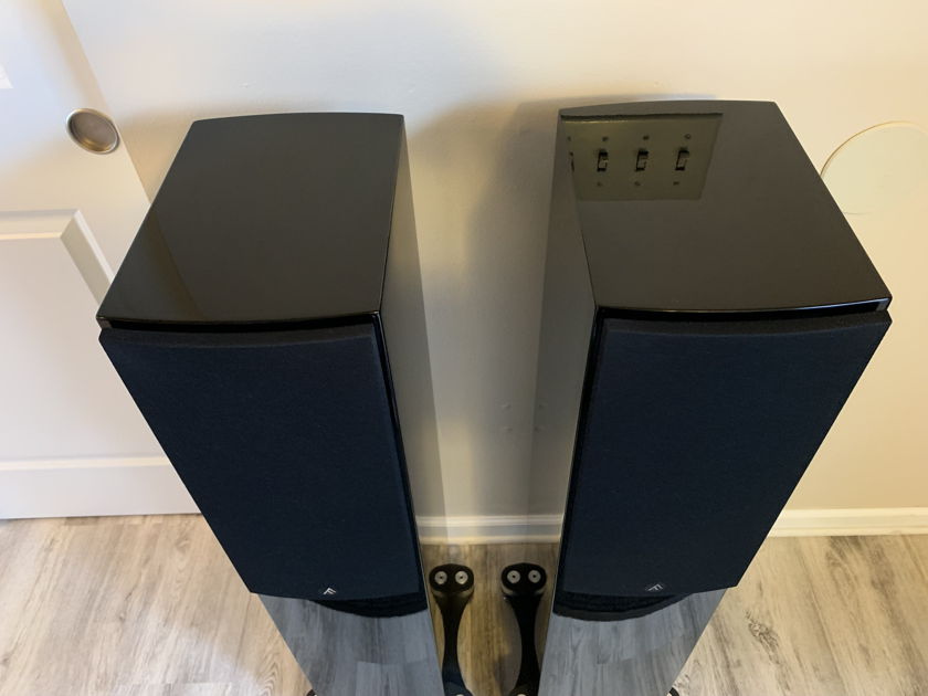 Fyne Audio -  501SP Floorstanding Speakers - Gloss Black Laquer, Includes Eight IsoAcoustics Gaia Isolation Footers (Single-Owner, Perfect Condition)