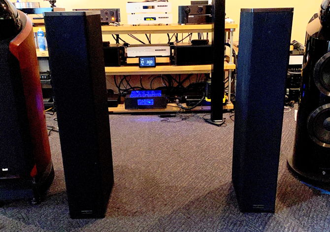 Von Schweikert Audio VR-2000 Floor Standing speakers: