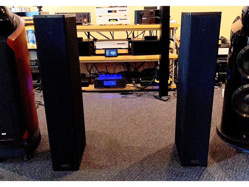 Von Schweikert Audio VR-2000 Floor Standing speakers: