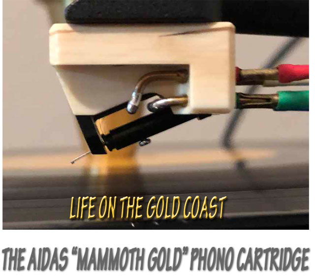 Aidas Mammoth Gold 24k Gold Coils, Top Reference Moving... 3