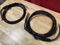 Synergistic Research Atmosphere SX Excite (Lvl.2) Speaker Cables 10ft