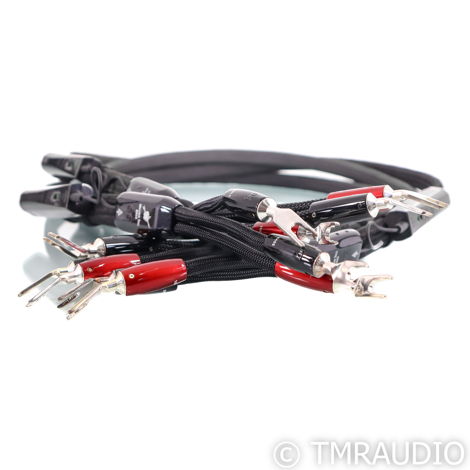 AudioQuest William Tell Silver Bi-Wire Speaker Cable (5...